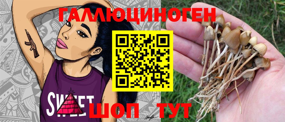 Галлюциногенные грибы MAGIC MUSHROOMS Томск