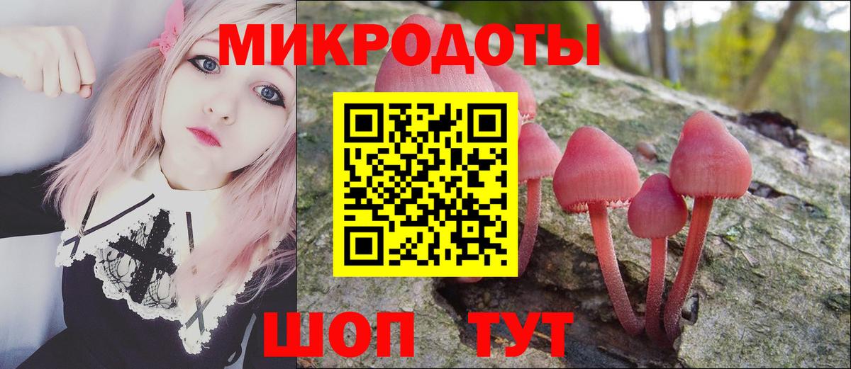 Томск  Псилоцибиновые грибы GOLDEN TEACHER  Вход с VPN 
