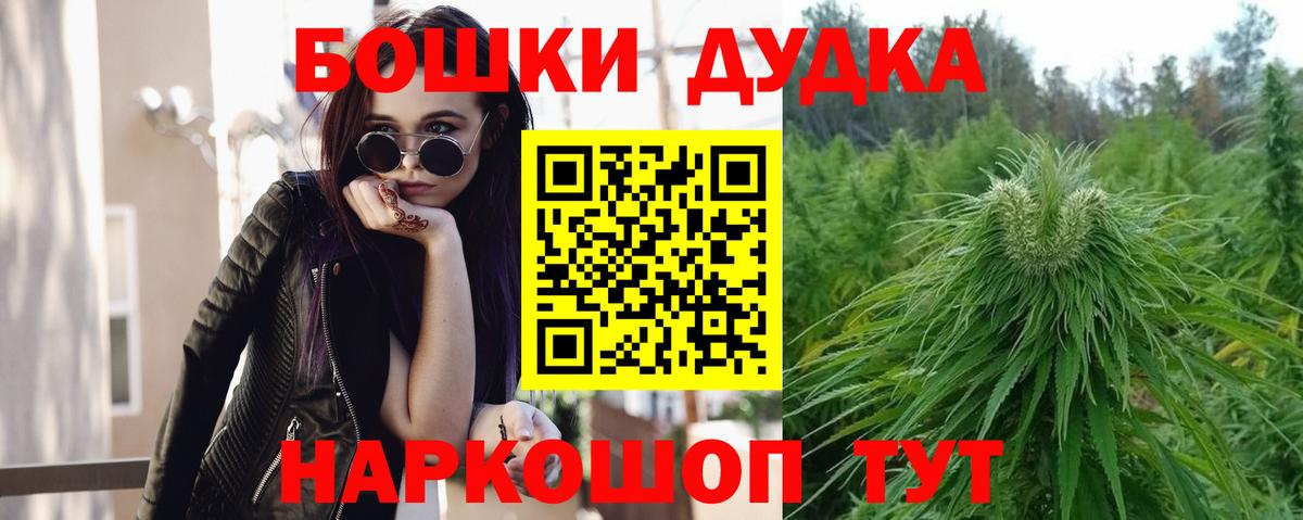 Бошки Шишки план Томск
